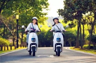 4月15日后電動車、三輪車上牌指南 你最關心的問題都在這